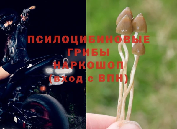 таблы Надым