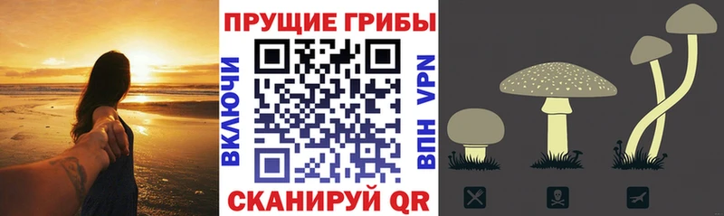 Галлюциногенные грибы Psilocybe mega рабочий сайт Нефтекамск