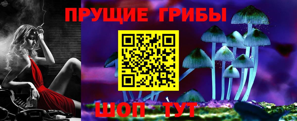 как найти наркотики  Вход с VPN  Нефтекамск  Галлюциногенные грибы ЛСД  Псилоцибиновые грибы Cubensis 